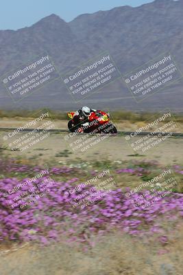 media/Feb-04-2023-SoCal Trackdays (Sat) [[8a776bf2c3]]/Turn 15 Inside Blooming (1050am)/